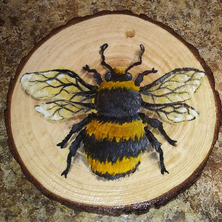 Bumble Bee (Species Unknown)