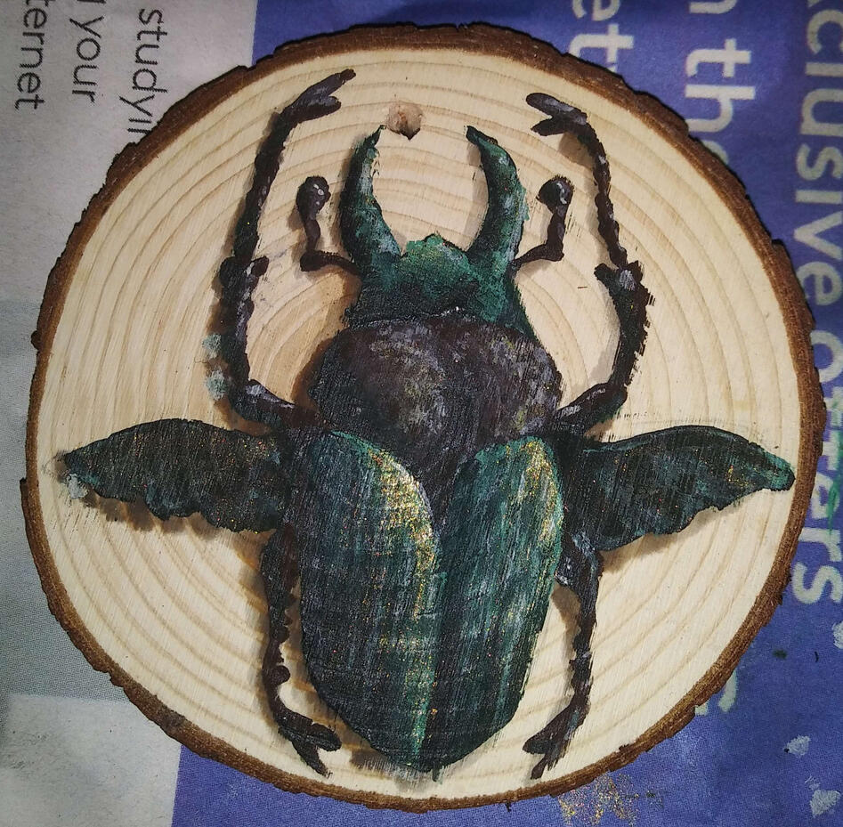 Scarab Beetle (Scarabaeidae)