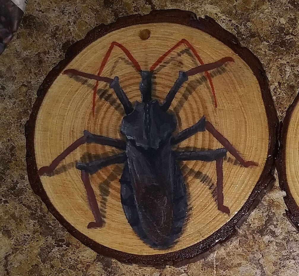 Wheel Bug (Arilus Cristatus)