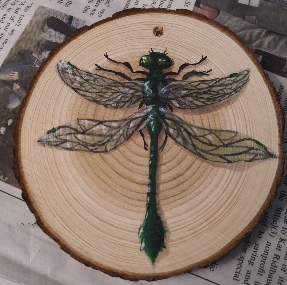 Green Dragonfly (Anax Junius)