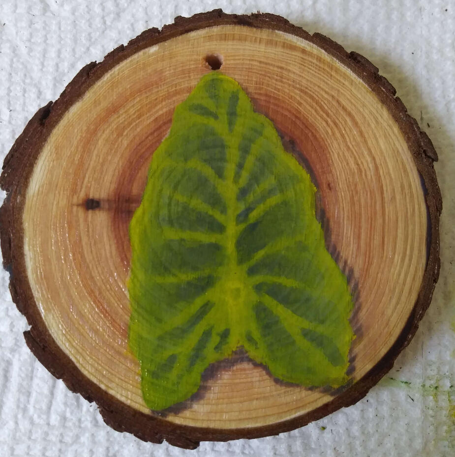 Elephant Ear (Colocasia)